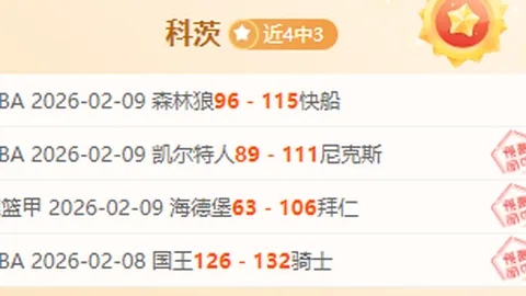 雲達不萊梅足球俱乐部概览